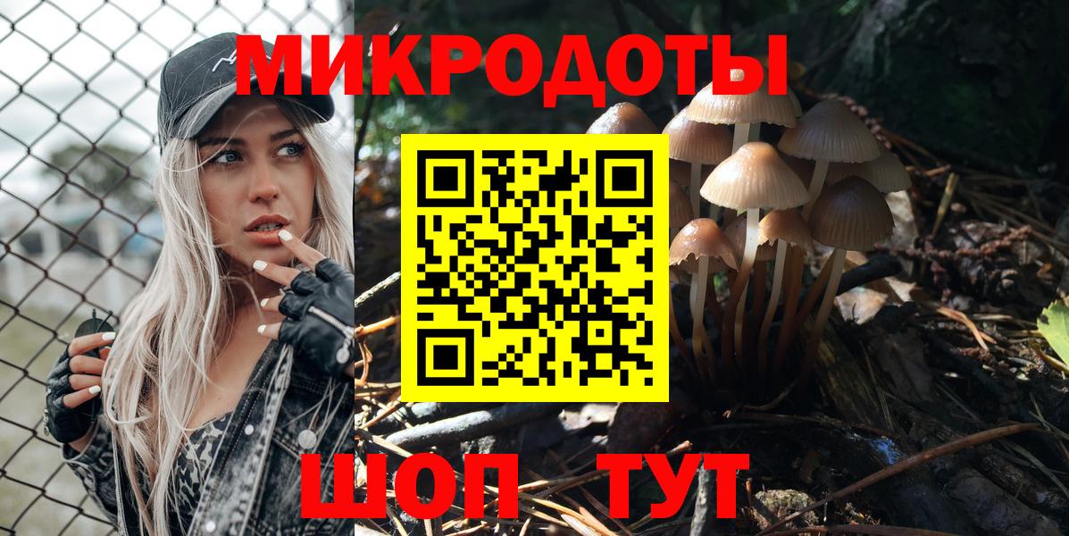 Псилоцибиновые грибы Cubensis Стрежевой